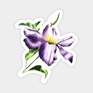 Clematis Flower Watercolor Painting Magnet