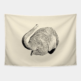 Young elephant Tapestry