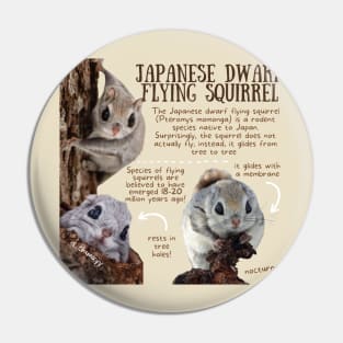 Animal Facts - Japanese Dwarf Flying Squirrel Pin