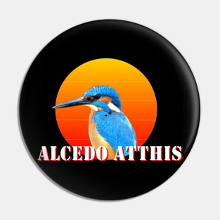 Alcedo Atthis Pin