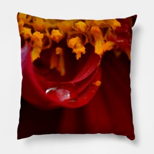 Dew drop dahlia Pillow