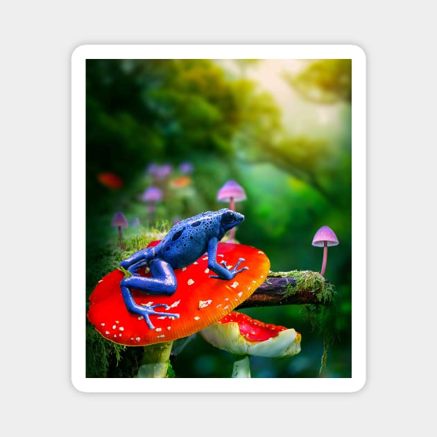 Poison Dart Arrow Frog On Mushroom Magnet by Random Galaxy