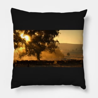 Cattle Sunrise 2 - Parkes, NSW Pillow