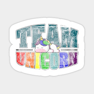 Team Unicorn Magnet