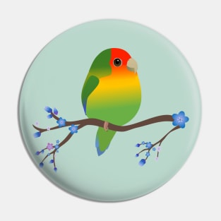 Cute egg shaped peach faced lovebird Pin