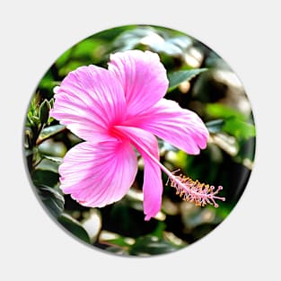 Vivid Pink Tropical Hibiscus Pin