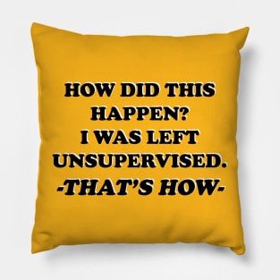 How Did This Happen? I Was Left Unsupervised. That's How Pillow