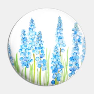 blue grape hyacinth 2 Pin