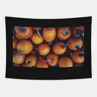 pumpkin Tapestry