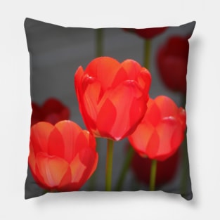 Flowerpower tulip Pillow