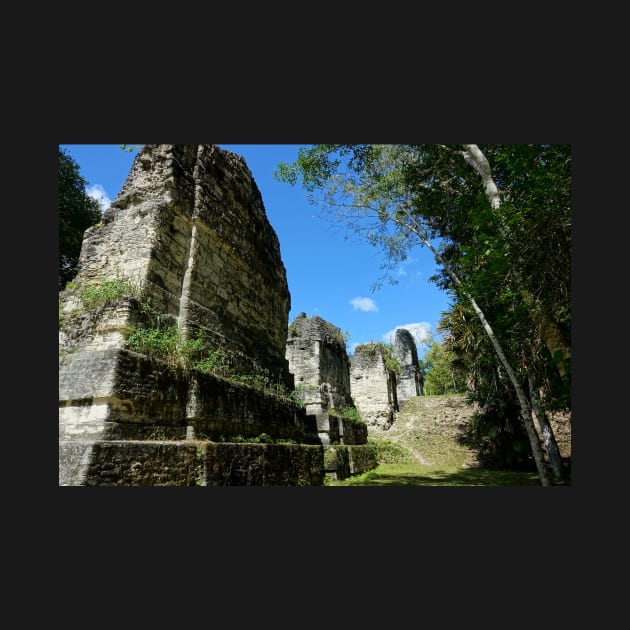 Guatemala - site archéologique de Tikal by franck380