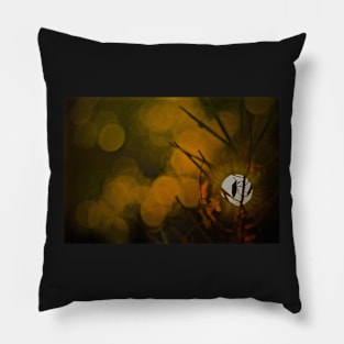 BUG BOKEH Pillow