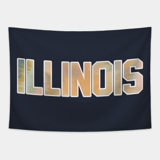 Illinois Jersey Letter State Tie Dye Pastel Tapestry