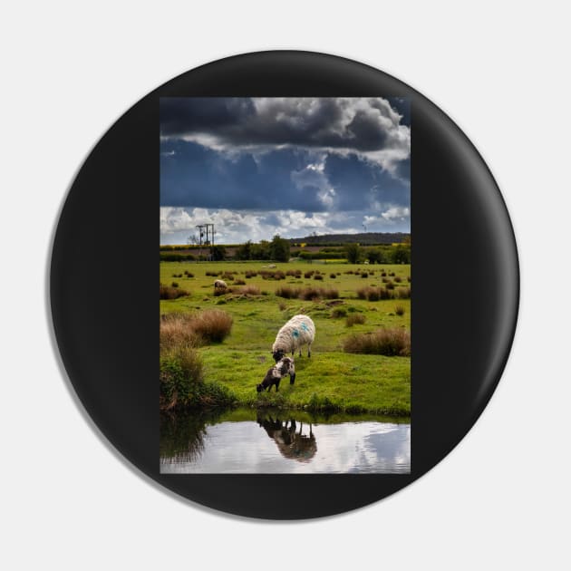 Sheep and lamb Pin by jasminewang