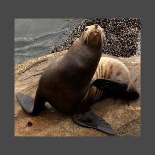 Sea Lion "I got an inch!" T-Shirt