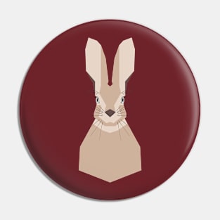 Rabbit 8 Pin