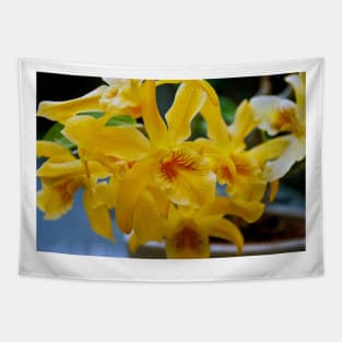 Yellow Orchid Flower Flowering Plant Tapestry