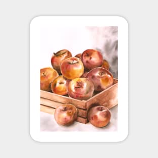 apples Magnet