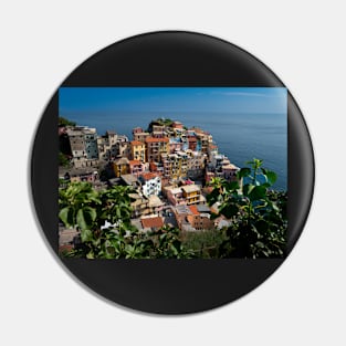 View on the cliff town of Manarola, one of the colorful Cinque Terre on the Italian west coast Pin