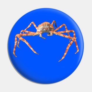 Photo of a Japanese Spider Crab Pin