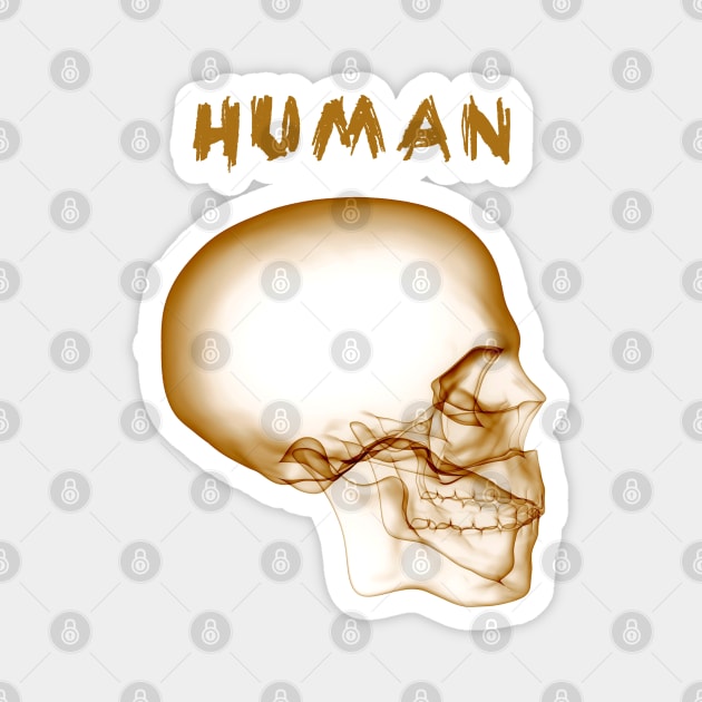 Human Skull - Orange Magnet by The Architect Shop