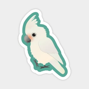 Goffin' s cockatoo digital illustration Magnet