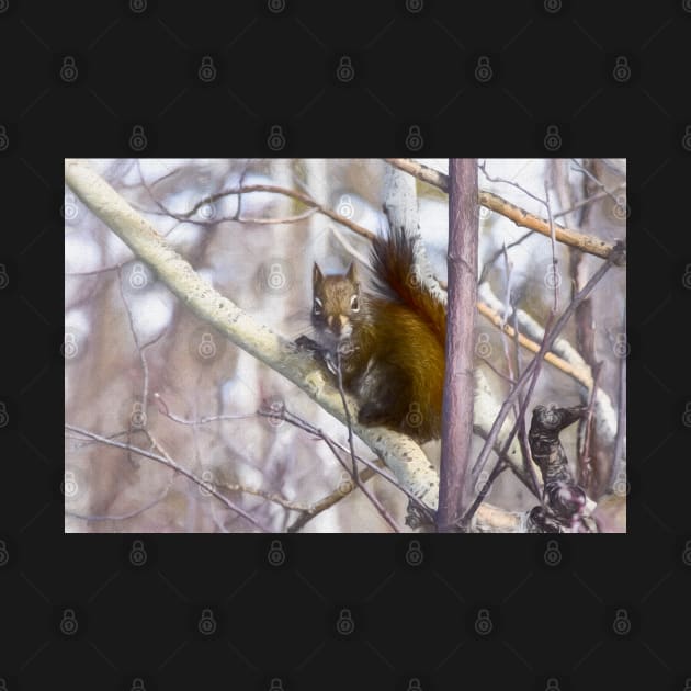 Red squirrel. "You looking at me." by CanadianWild418