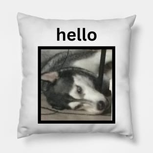 Crazy Funny Husky Dog Lying Down Hello Caption Pillow