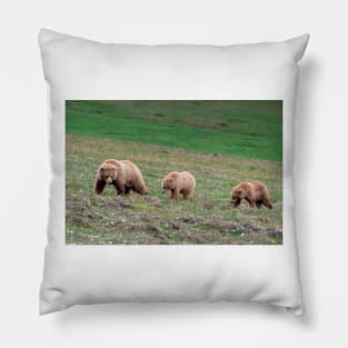 Mama Grizzly Bear and Two Cubs Pillow