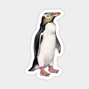 Yellow-eyed Penguin Magnet