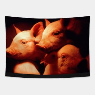 Three Little Pigs Tapestry