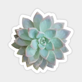 Low Poly Green Succulent Magnet