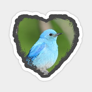 Mountain Bluebird Heart Magnet