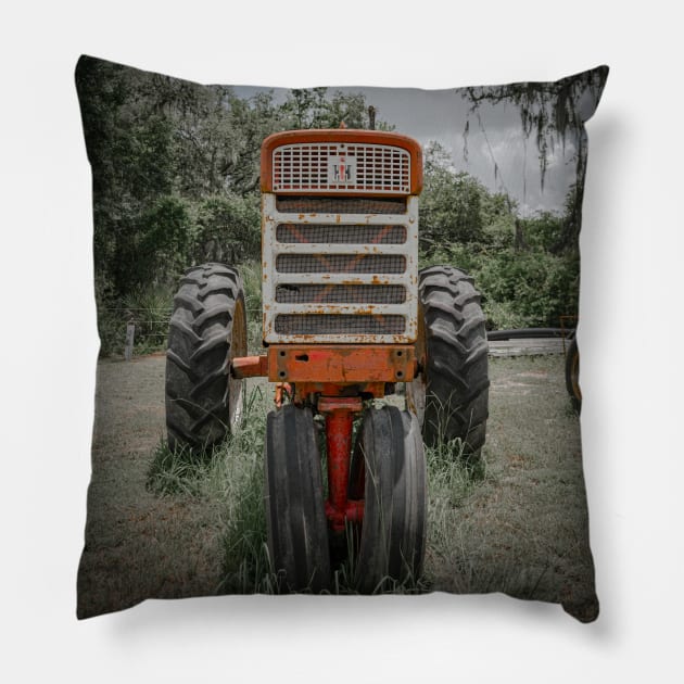 Growing Rust Pillow by Enzwell