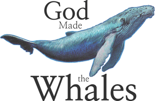 God Made the Whales Magnet