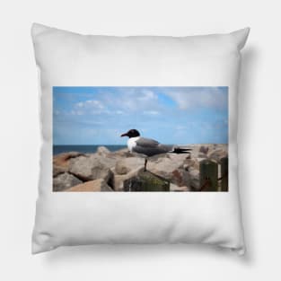 Laughing Gull Pillow