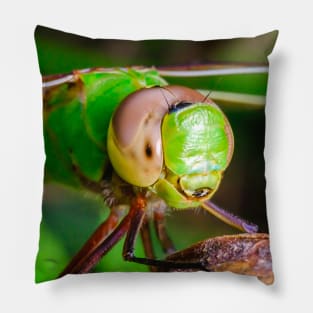 Dragonfly Smile, Macro Photograph Pillow