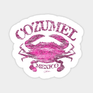 Cozumel, Mexico, Atlantic Blue Crab Magnet