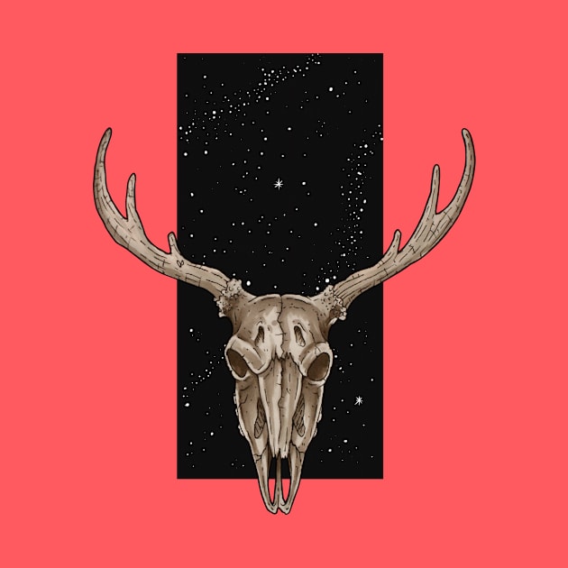 Deer skull by Dracuria