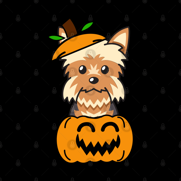 Funny yorkshire terrier is in a pumpkin by Pet Station