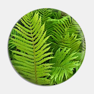 Green Ferns Pin