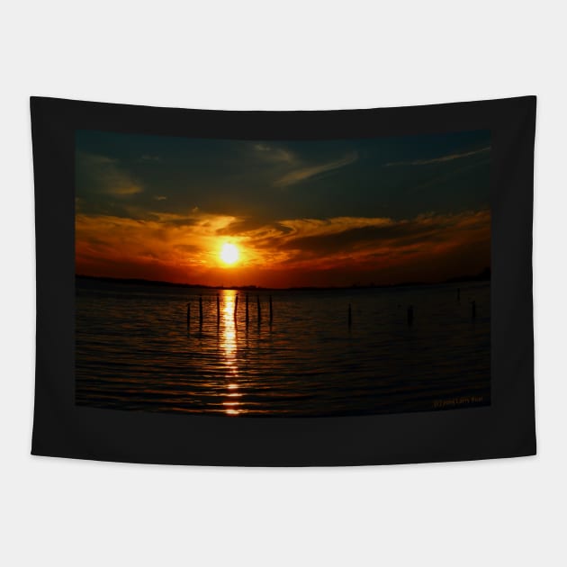 Solar Eclipse Sunset Tapestry by BadHabitsLounge