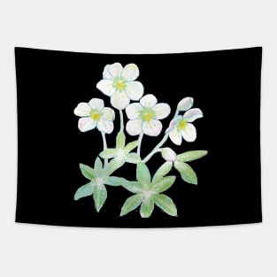 Christmas rose, Helleborus niger, winter-blooming Illustration Tapestry