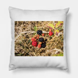 3142016 blackberries Pillow