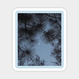 Bright moon shining through lush tree at night Magnet