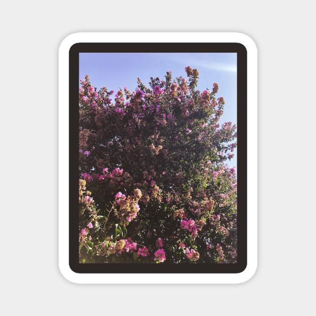 Purple floral tree in San Fernando Valley Magnet by offdutyplaces