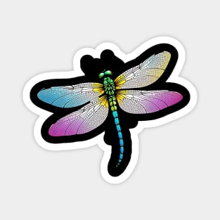 A beautiful Dragonfly Magnet