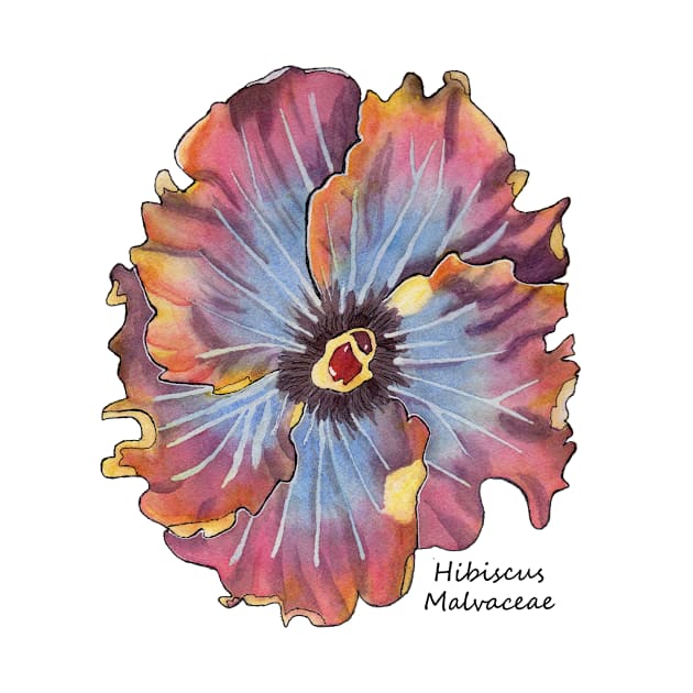 Hibiscus Flower Watercolor hibiscus malvaceae by artsytee