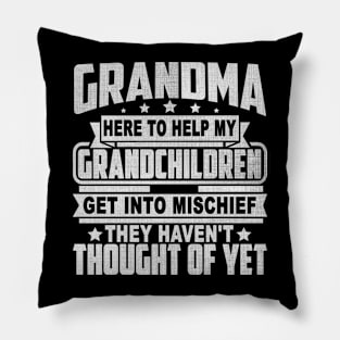 GRANDMA HERE TO HELP MY GRANDCHILDREN GET INTO MISCHIEF THEY HAVEN'T THOUGHT OF YET Pillow