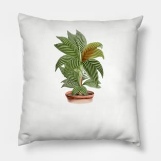 Feeling Cute Might Die Later IDK Cute Houseplant Monstera Pillow